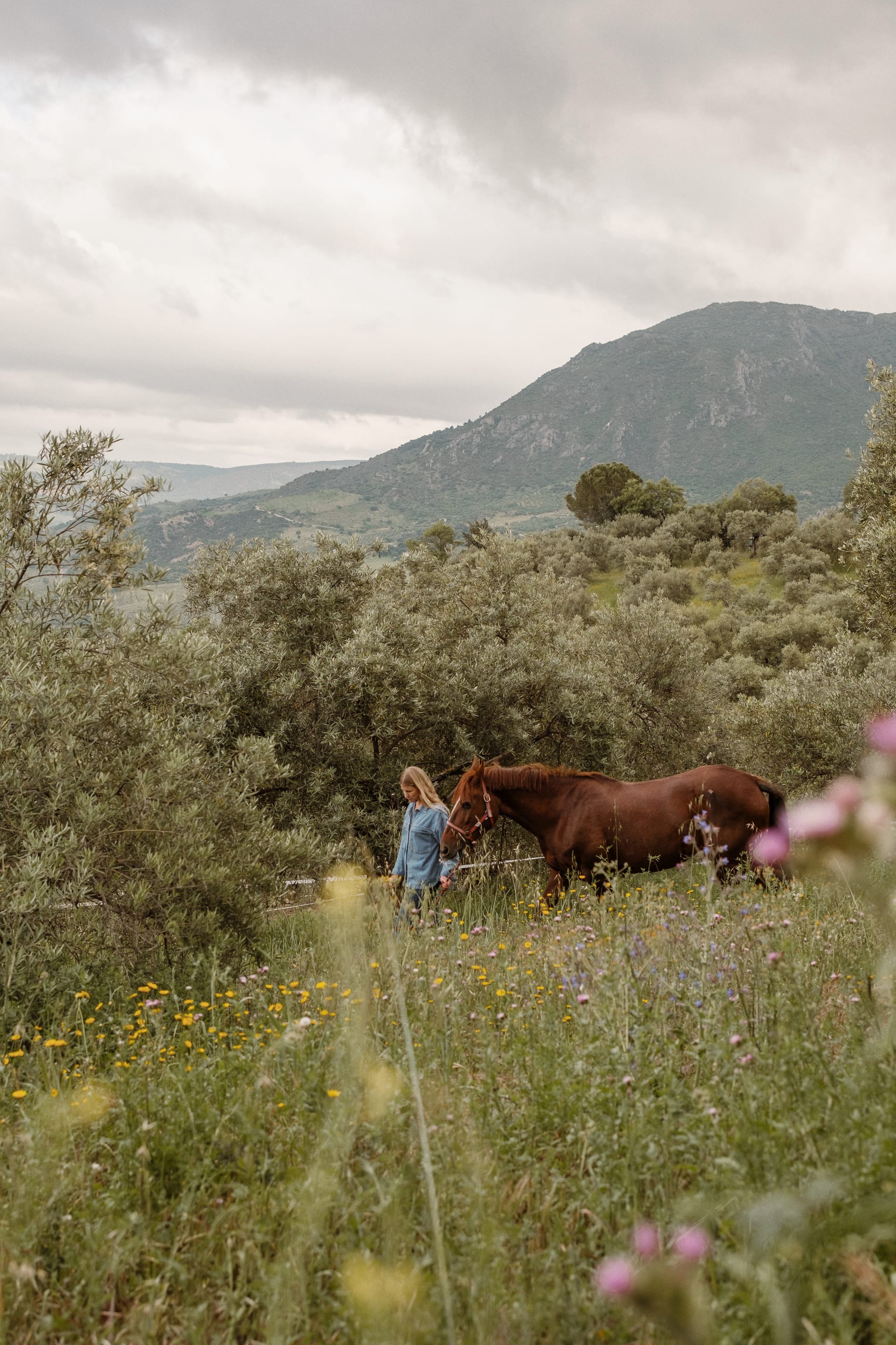 El Viaje: De Texas a la Sierra